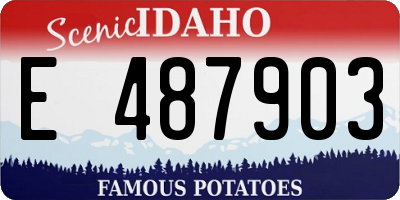 ID license plate E487903