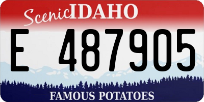 ID license plate E487905