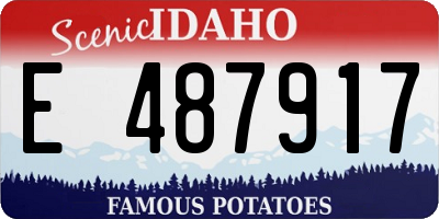 ID license plate E487917