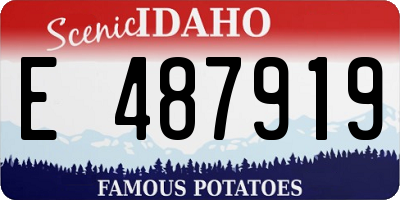 ID license plate E487919