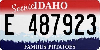 ID license plate E487923