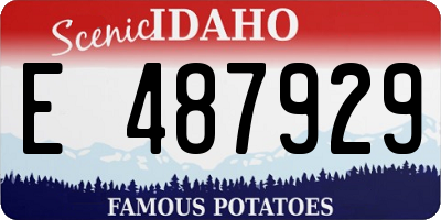 ID license plate E487929