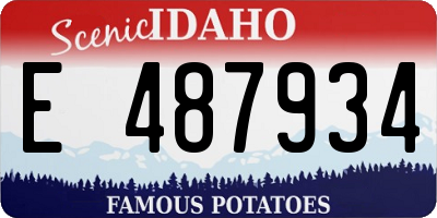 ID license plate E487934