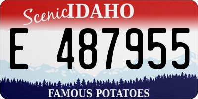 ID license plate E487955