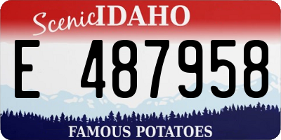 ID license plate E487958