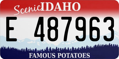 ID license plate E487963