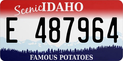 ID license plate E487964