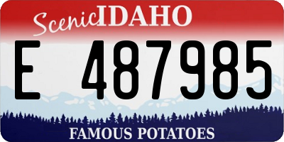 ID license plate E487985