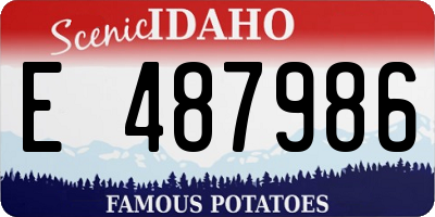 ID license plate E487986