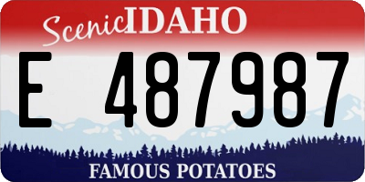 ID license plate E487987