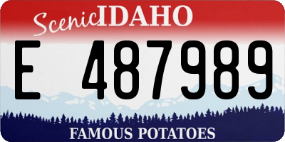 ID license plate E487989