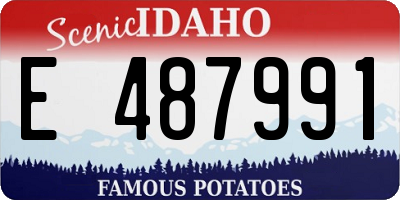 ID license plate E487991