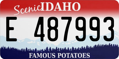 ID license plate E487993
