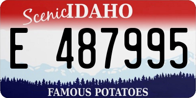 ID license plate E487995
