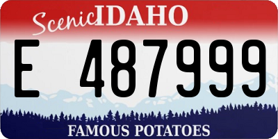 ID license plate E487999