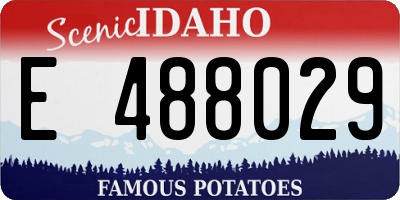 ID license plate E488029