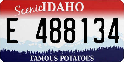 ID license plate E488134