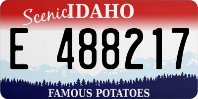 ID license plate E488217