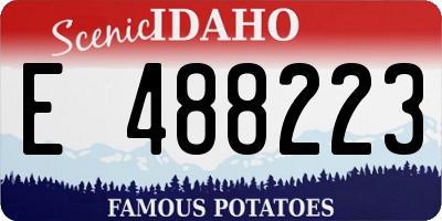 ID license plate E488223