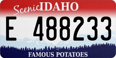 ID license plate E488233