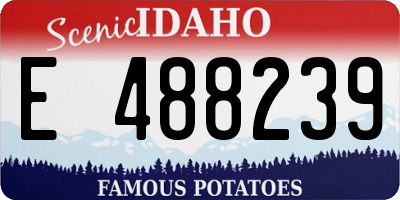 ID license plate E488239