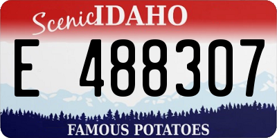 ID license plate E488307