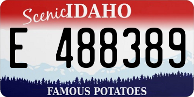ID license plate E488389