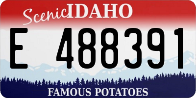 ID license plate E488391