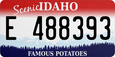 ID license plate E488393
