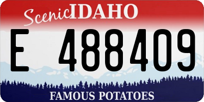 ID license plate E488409