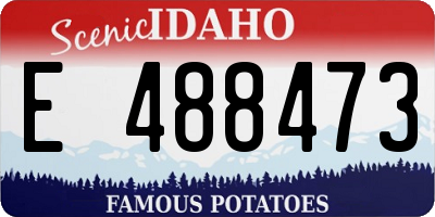 ID license plate E488473