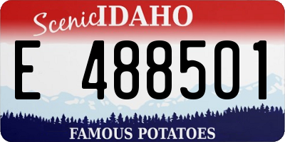 ID license plate E488501