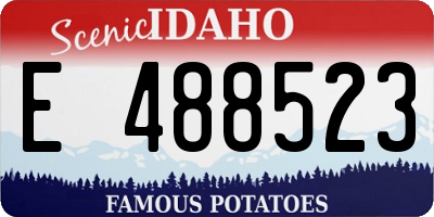 ID license plate E488523