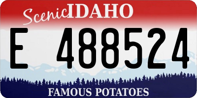 ID license plate E488524