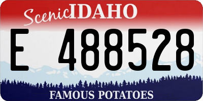 ID license plate E488528