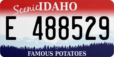 ID license plate E488529