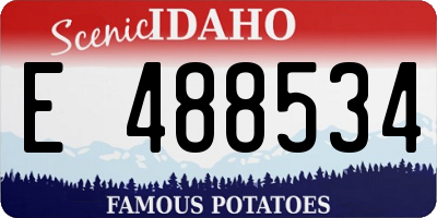 ID license plate E488534