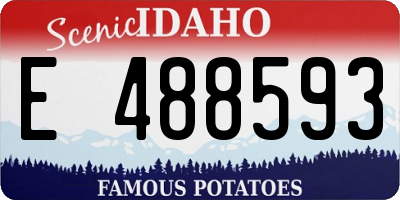 ID license plate E488593