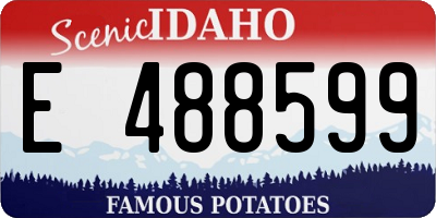 ID license plate E488599