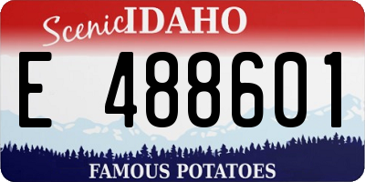 ID license plate E488601