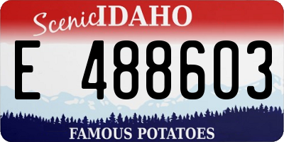 ID license plate E488603