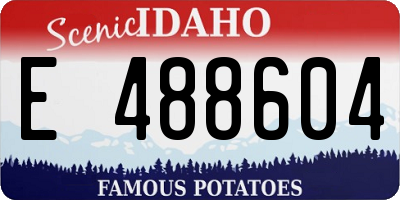 ID license plate E488604