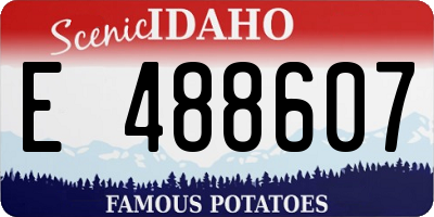 ID license plate E488607