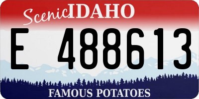 ID license plate E488613
