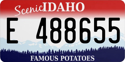 ID license plate E488655