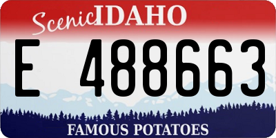 ID license plate E488663