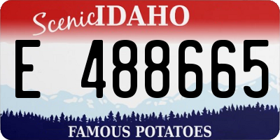 ID license plate E488665