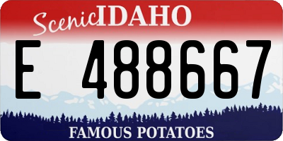 ID license plate E488667