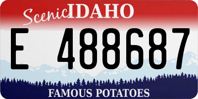 ID license plate E488687