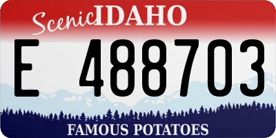 ID license plate E488703